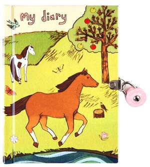 Horse Friends Locked Diary