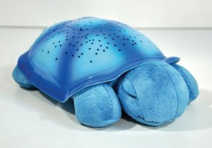 Twilight Turtle - blue