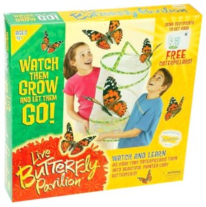 Live Butterfly Pavilion