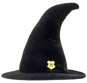 Hogwart Student Hat