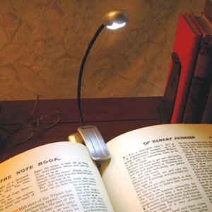 Mighty Bright Silver Xtraflex 2 LED Booklight (batt inc)