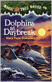 Dolphins At Daybreak (Turtleback School & Library Binding Edition)