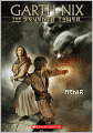 Aenir (Seventh Tower Series #3) (Turtleback School & Library Binding Edition)