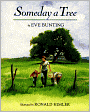 Someday A Tree (Turtleback School & Library Binding Edition)
