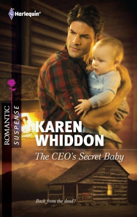 The CEO's Secret Baby