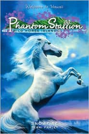 Snowfire (Phantom Stallion: Wild Horse Island Series #9)
