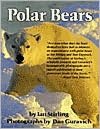 Polar Bears