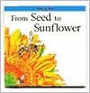 From Seed to Sunflower