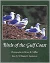 Birds of the Gulf Coast
