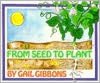 From Seed to Plant