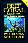 Reef Coral Identification Enlarged: Florida, Caribbean, Bahamas Including Marine Plants