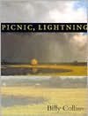 Picnic, Lightning