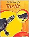 The Life Cycle of a Turtle