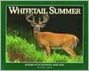 Whitetail Summer