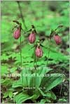 Orchids of the Western Great Lakes Region: Bulletin 48