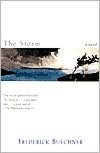 Storm: A Novel