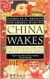 China Wakes: The Struggle for the Soul of a Rising Power