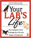 Your Lab's Life: Your Complete Guide To Raising Your Pet From Puppy To Companion