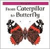 From Caterpillar to Butterfly