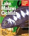 Lake Malawi Cichlids
