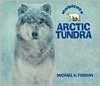 An Arctic Tundra (Habitats Series)