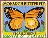 Monarch Butterfly