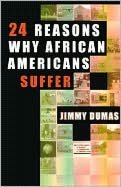 24 Reasons Why African Americans Suffer; A Critical Analysis of an African American Teenage Subculture