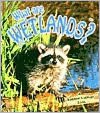 What Are Wetlands?
