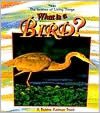 What Is a Bird?