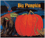 Big Pumpkin (Turtleback School & Library Binding Edition)