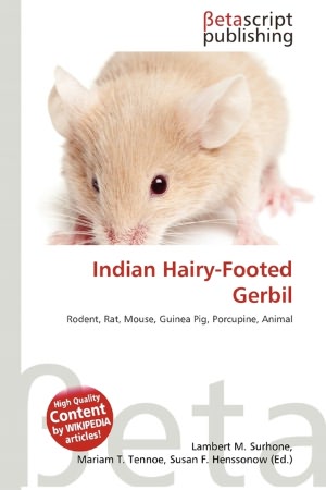 Indian HairyFooted Gerbil