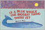Is a Blue Whale the Biggest Thing There Is?