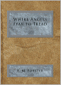 Where Angels Fear to Tread
