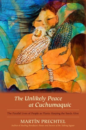 The Unlikely Peace at Cuchumaquic: The Parallel Lives of People as Plants: Keeping the Seeds Alive
