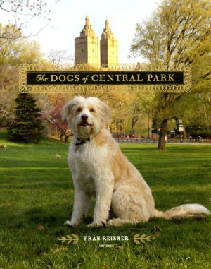 The Dogs of Central Park