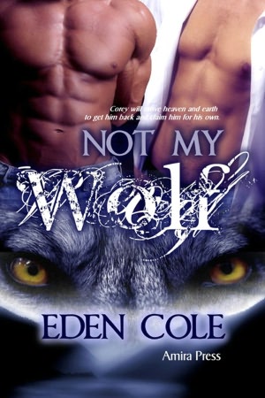 Not My Wolf [Gay M/M Shifter Erotic Romance]