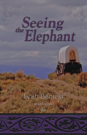 Seeing the Elephant