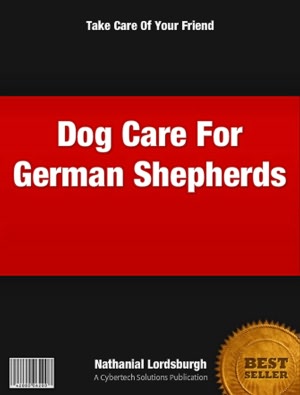 Dog Care For German Shepherds