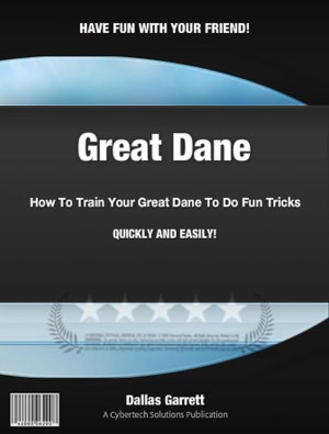How To Train Your Great Dane To Do Fun Tricks