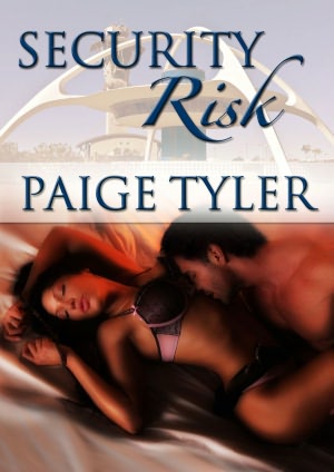 Security Risk Paige Tyler