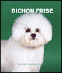2007 Bichon Frise Weekly Engagement Calendar