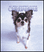 2007 Chihuahuas Weekly Engagement Calendar
