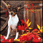 2007 Rat Terriers Wall Calendar