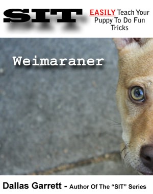 MWR Know Your Weimaraner