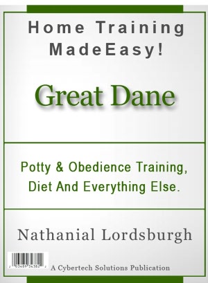 Potty And Obedience Training, Diet And Everything Else For Your Great Dane
