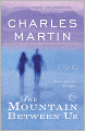 The Mountain Between Us