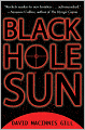 Black Hole Sun
