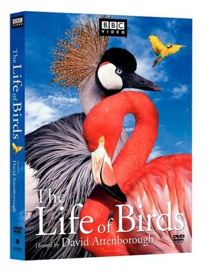 Life of Birds