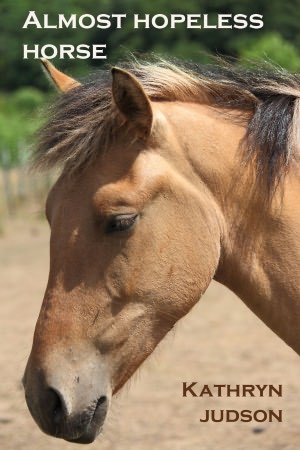 Almost Hopeless Horse