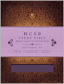 HCSB Study Bible (Mulberry Simulated Leather)